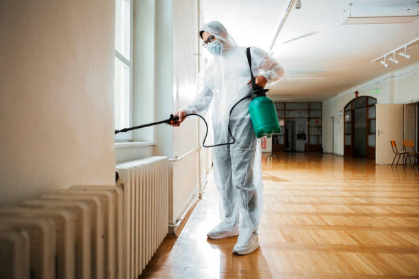 Best Residential Pest Control  in De Soto, MO